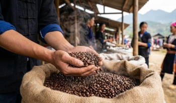 Giá cà phê hôm nay 5/1: Lực bán ra không nhiều, giá cà phê có thể tiếp tục tăng trong tuần này?