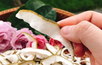 [SỰ THẬT] Tác hại của vỏ bưởi sấy và những điều cần biết